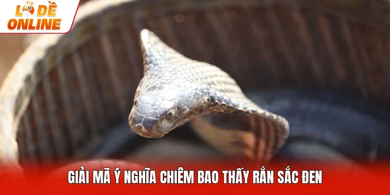 Giải mã ý nghĩa chiêm bao thấy rắn sắc đen