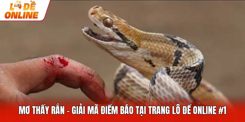 Mơ Thấy Rắn - Giải Mã Điềm Báo Tại Trang Lô Đề Online