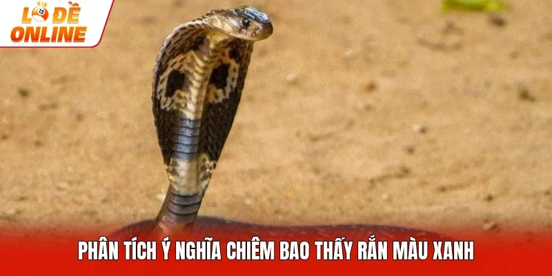 Phân tích ý nghĩa chiêm bao thấy rắn màu xanh